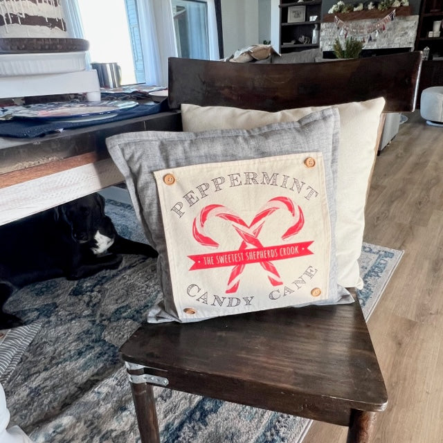 NEW! Custom Wedding Gift Bundle:  2 seasons + SQUARE GRAY pillow + custom last name panel:  ACORN BRANCH, CANDY CANES, CUSTOM LAST NAME PANEL