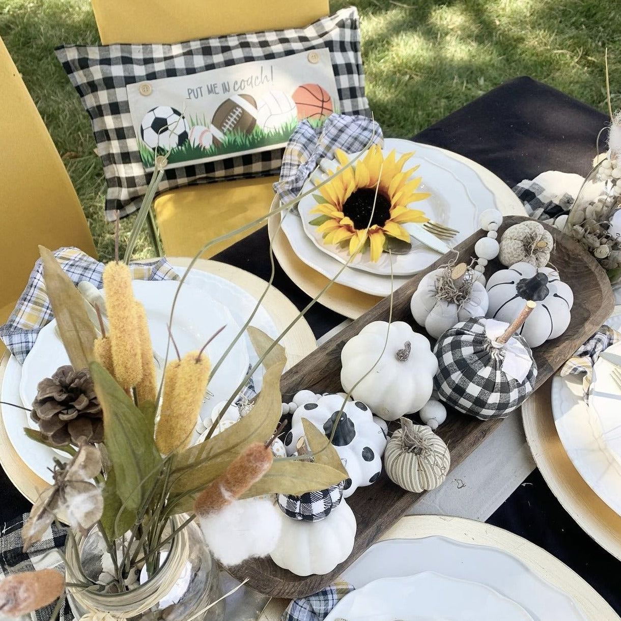 SUPERBOWL Party/Special Events Panel:  Sports Superbowl Winter Spring Summer Fall Football Basketball, Baseball, Soccer, Volleyball Super Bowl Autumn; SPORTS PANEL