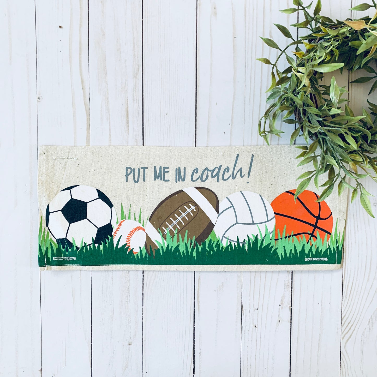 SUPERBOWL Party/Special Events Panel:  Sports Superbowl Winter Spring Summer Fall Football Basketball, Baseball, Soccer, Volleyball Super Bowl Autumn; SPORTS PANEL