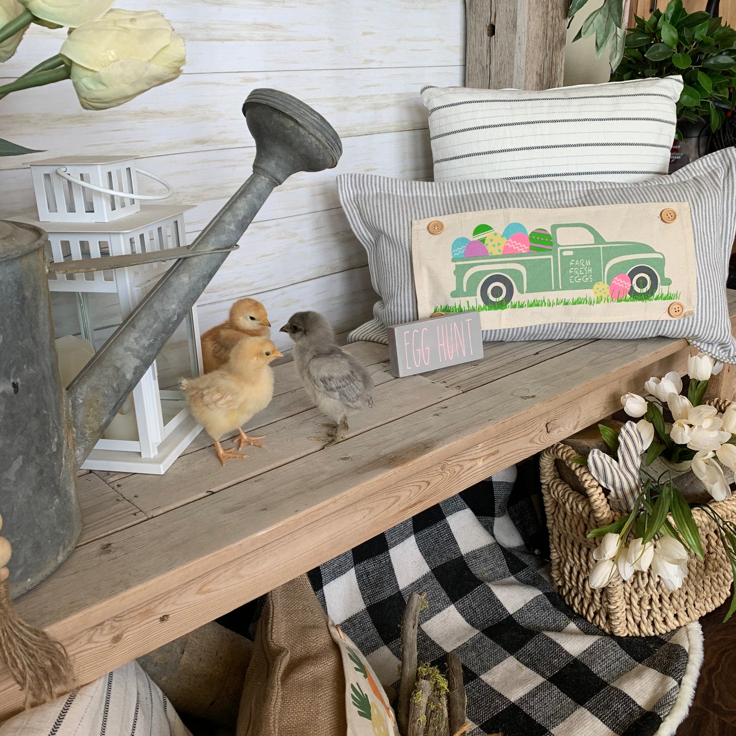 BRING BACK MY PANEL: Vintage EASTER EGG TRUCK