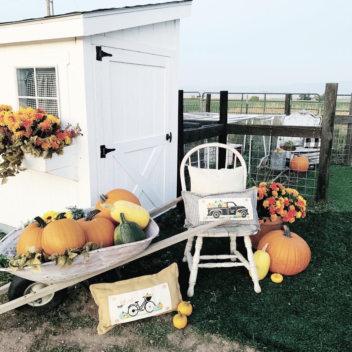 BRING BACK MY PANEL:  Vintage Hello FALL BIKE