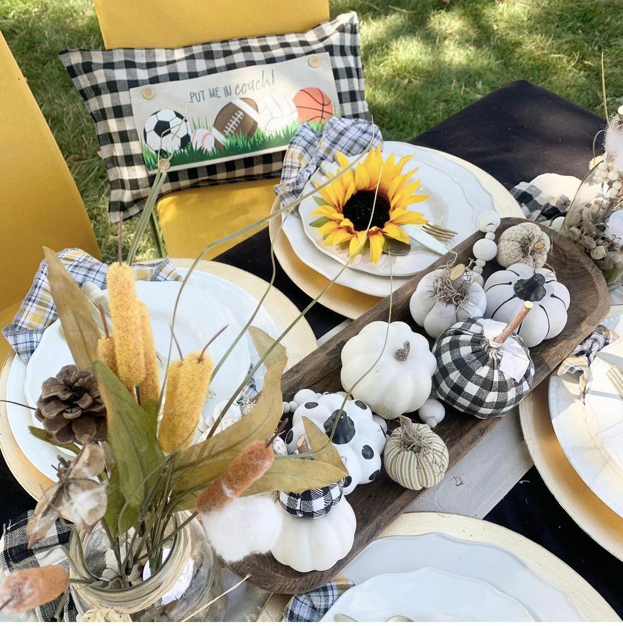 SUPERBOWL Party/Special Events Panel:  Sports Superbowl Winter Spring Summer Fall Football Basketball, Baseball, Soccer, Volleyball Super Bowl Autumn; SPORTS PANEL