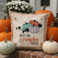PANEL ONLY: SQUARE Fall, Autumn Thanksgiving Gingham for throw pillow MEET ME AT THE PUMPKIN PATCH