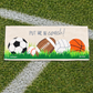 PANEL ONLY: Winter Spring Summer Fall Football Autumn; Sports / Superbowl Panel