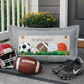 PANEL ONLY: Winter Spring Summer Fall Football Autumn; Sports / Superbowl Panel
