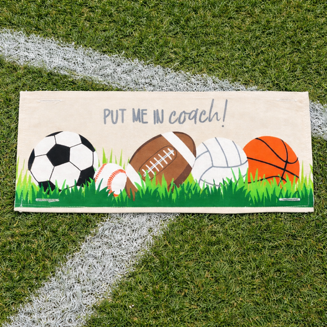 PANEL ONLY: Winter Spring Summer Fall Football Autumn; Sports / Superbowl Panel