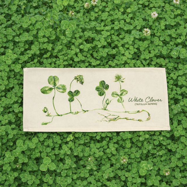PANEL ONLY: RECTANGLE Botanical Shamrock St. Patrick's Farm Spring, Summer; WHITE CLOVER