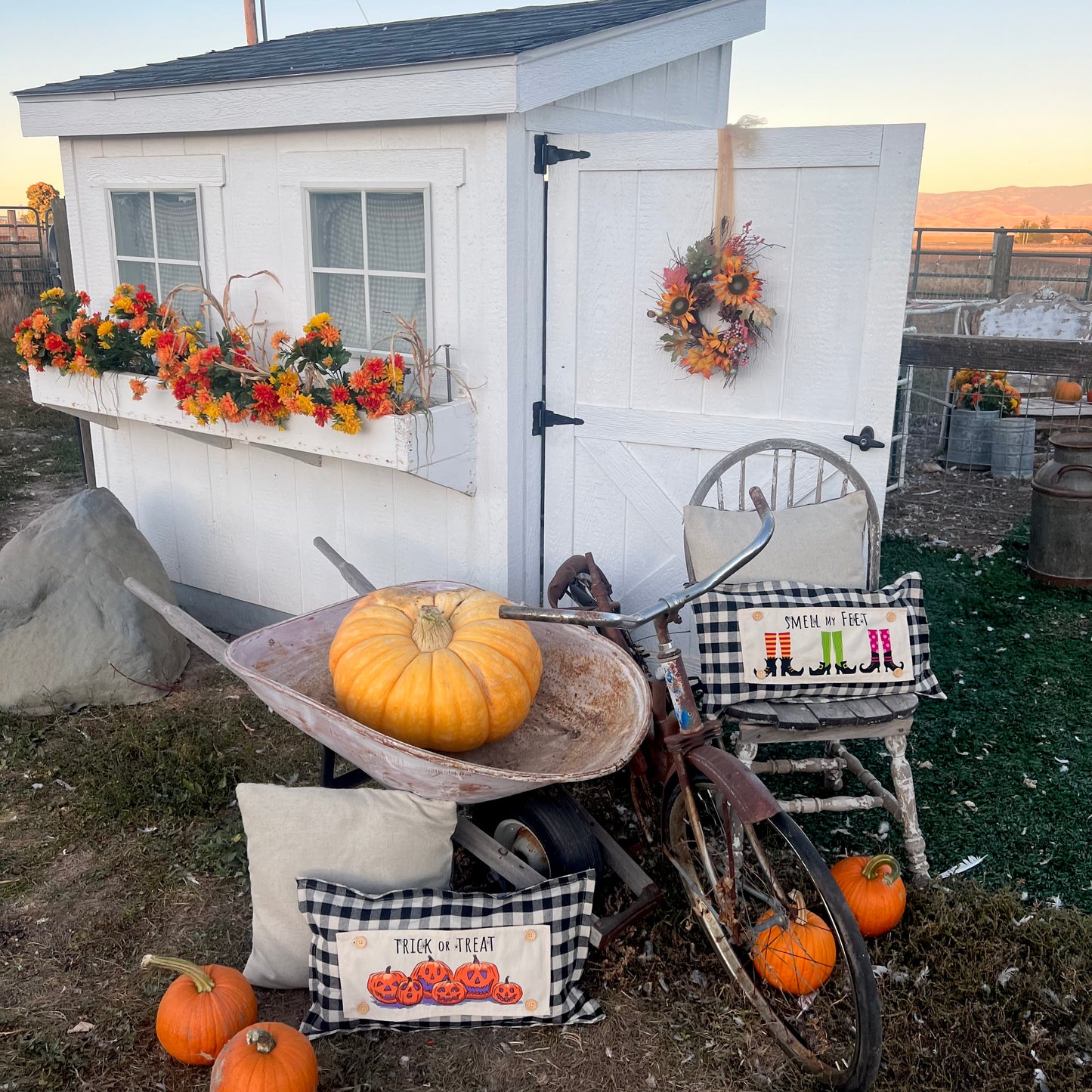 Holiday Panel: Halloween October Pumpkins Fall Autumn Jack-o-Lanterns; Trick or Treat