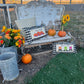 Holiday Panel: Halloween October Pumpkins Fall Autumn Jack-o-Lanterns; Trick or Treat